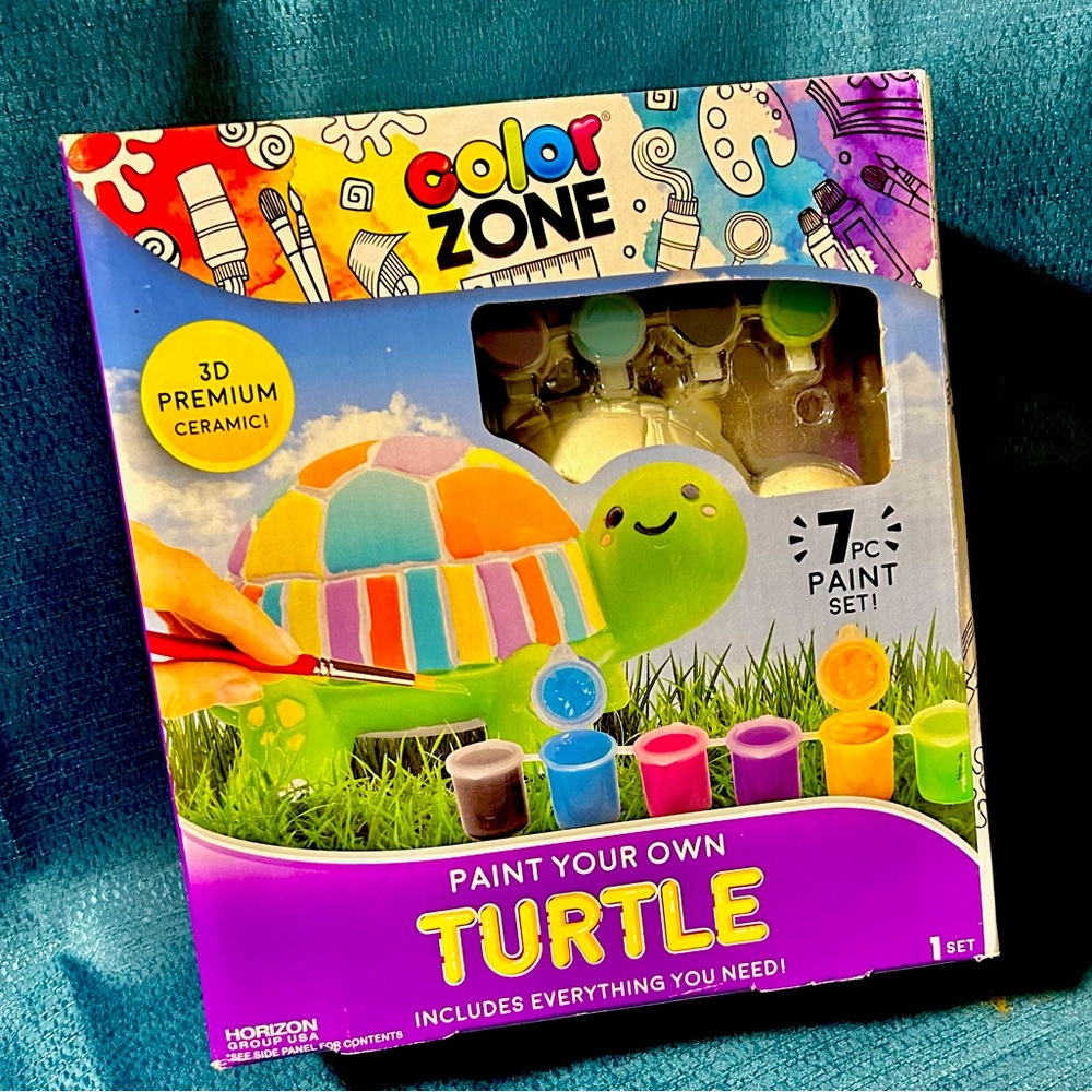 COLOR ZONE paint my own turtle